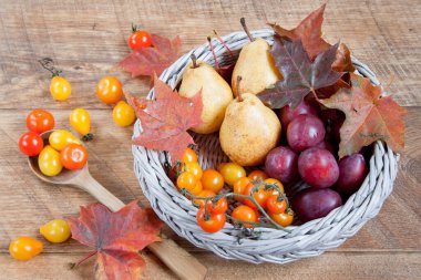 Sonbahar, doğanın çeşitli armağanlarıyla sakin bir hayattır. Hasattan sonra. Yaprak dökümü.