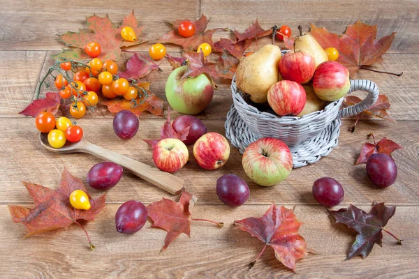 Herbststilleben Mit Verschiedenen Geschenken Der Natur Nach Der Ernte — Stockfoto