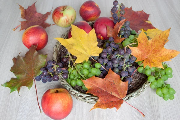 Ahornblätter Nektarine Äpfel Trauben Isoliert Auf Einem Hölzernen Hintergrund Herbststilleben — Stockfoto