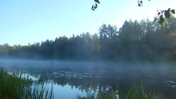 Brume matinale sur l'eau dans les rayons du soleil levant — Video