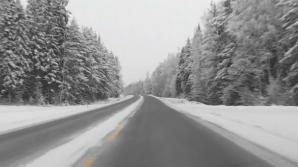 Jalan musim dingin Finlandia — Stok Video