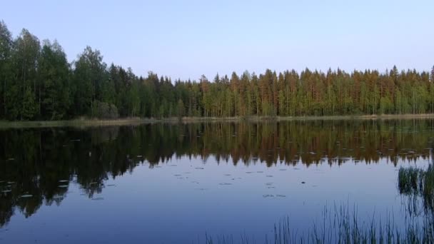 Hermoso lago finlandés con fondo de bosque verde — Vídeos de Stock
