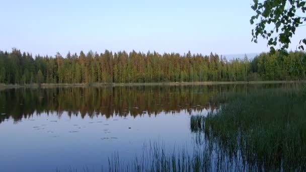 Прекрасне фінське озеро з зеленим лісовим фоном — стокове відео