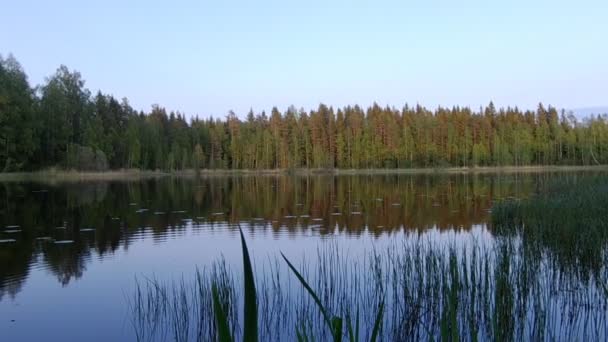 Красивое финское озеро на фоне зеленого леса — стоковое видео
