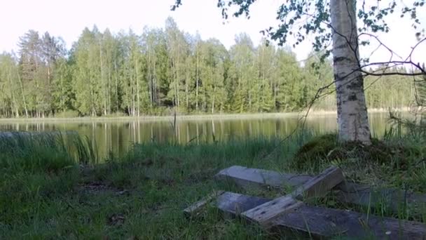 緑の森の背景を持つ美しいフィンランドの湖 — ストック動画
