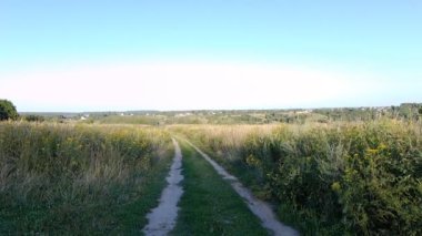 Tipik Rus manzarası. Yaz konsepti.