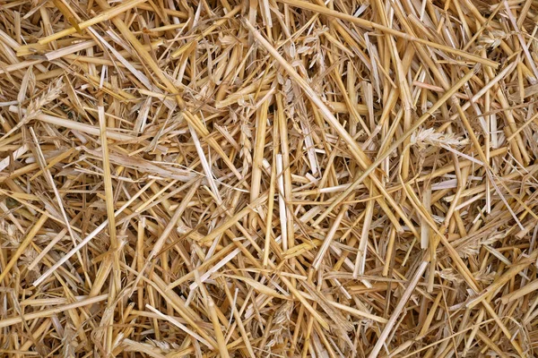 Weizenstrohhaufen Hintergrund Reste Nach Der Ernte — Stockfoto