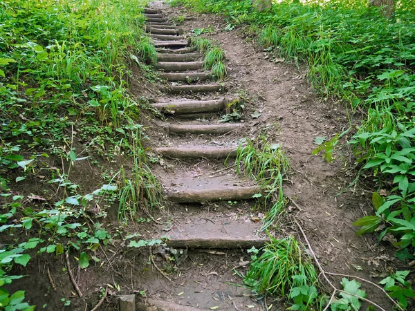 Alte enge hölzerne Treppe im Park — Stockfoto