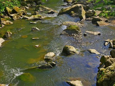 Hızlı akıntısı ve büyük kayaları olan dağ nehri.