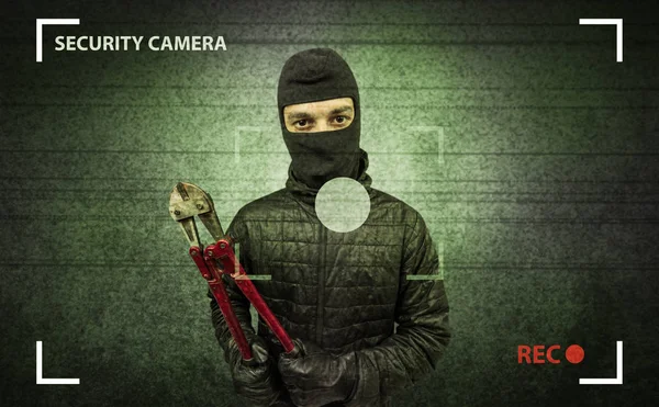 Burglar in action. — Stock Photo, Image