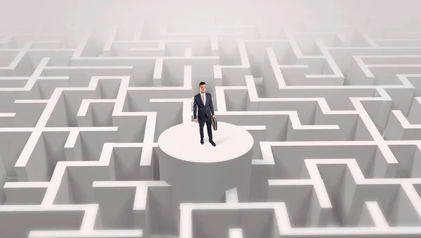 Businessman standing on the top of a maze — Stock Photo, Image