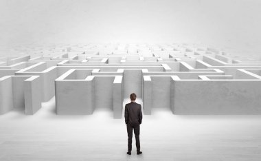 Hangi giriş at labirent seçmek için karar vermeye çalışan iş adamı