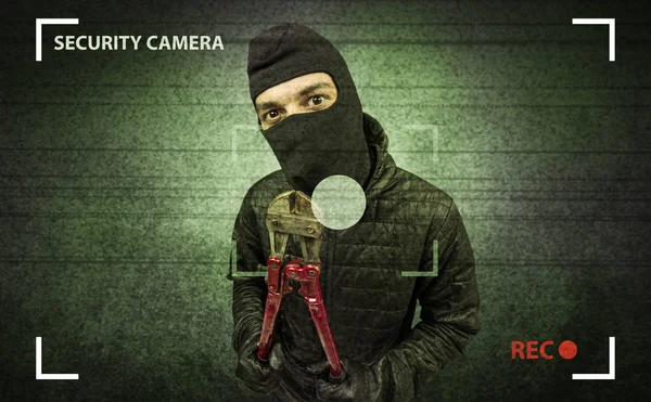 Burglar in action. — Stock Photo, Image