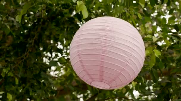 White pink balls of rice paper hanging on the branches of green trees Stock Video