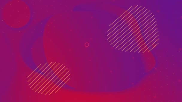 Loopas Flytande Färgglada Blå Röd Färg Animation Populär Modern Abstrakt — Stockvideo