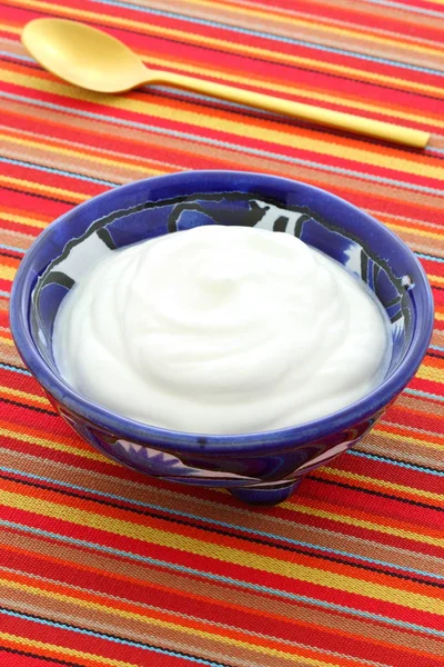 Delicious Sour Cream Traditional Ingredient France Russia Eastern European German — Stock Photo, Image