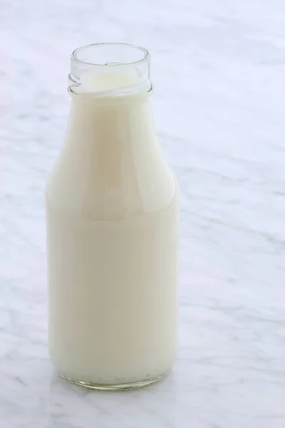 Lezzetli Taze Süt Bir Beslenme Birincil Kaynaklar — Stok fotoğraf