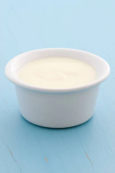 Delicious Nutritious Healthy Fresh Plain Yogurt Cup Vintage Retro Styling — Stock Photo, Image