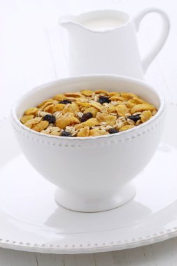 lezzetli ve besleyici kahvaltı müsli kuru cranberries ile hafif kızarmış.