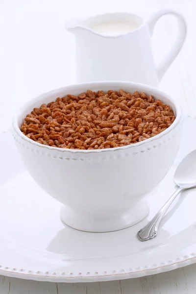 Lahodné Výživné Opékané Nebo Crisped Rýže Čokoládové Cereálie — Stock fotografie