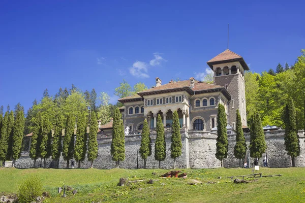 Cantacuzino Palace Palatul Cantacuzino Бустени Румыния — стоковое фото