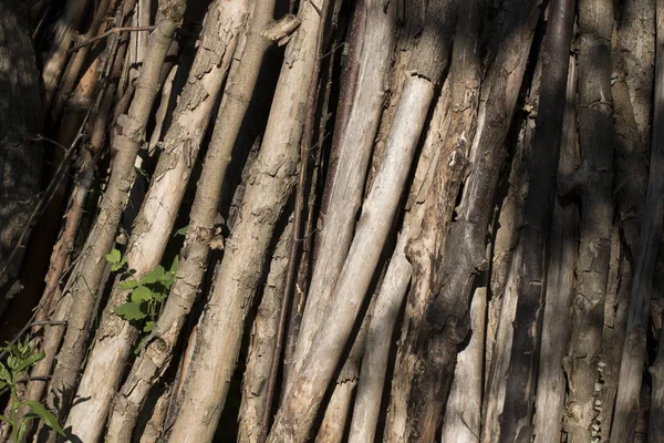 Стек сушеної деревини — стокове фото