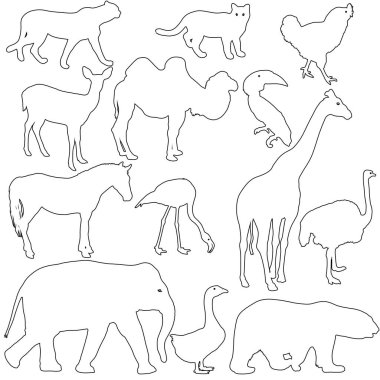 Siluet fil kaplan zürafa flamingo Pelikan kaz beyaz bir arka plan üzerinde ayı