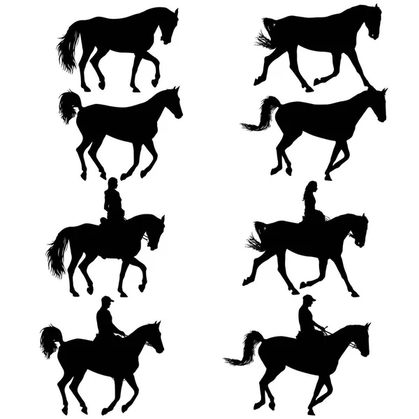 Set silueta negra de caballo y jinete — Archivo Imágenes Vectoriales