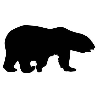 Beyaz arka planda siluet kutup ayısı