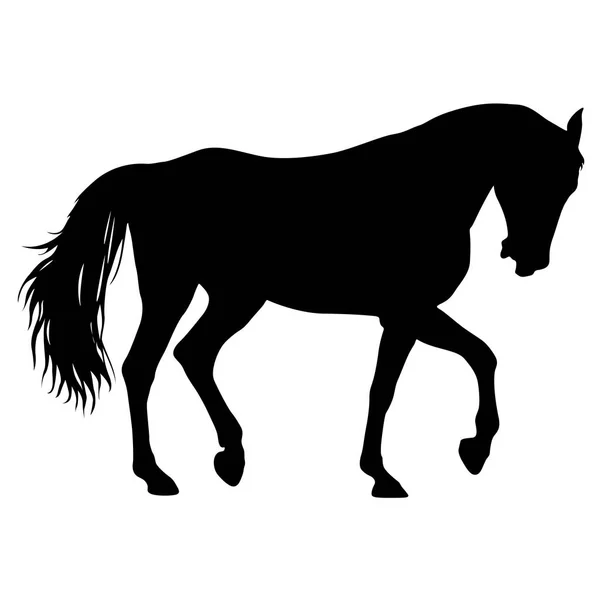 Silueta animal de caballo mustang negro ilustración — Vector de stock