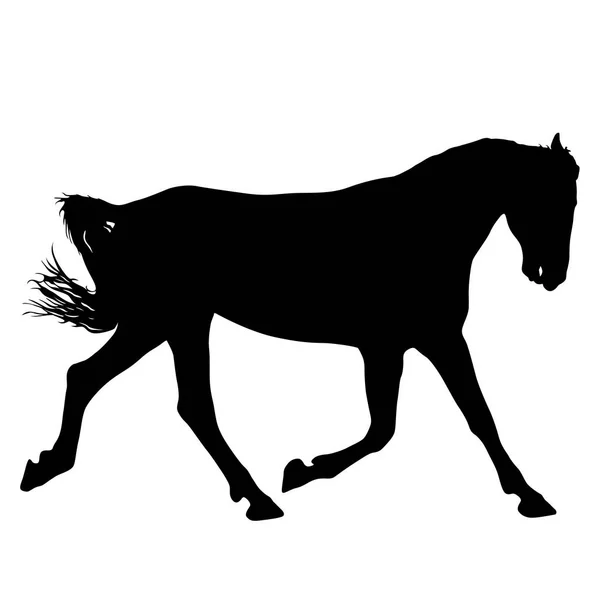 Animal Silhouette von schwarzen Mustang Pferd Illustration — Stockvektor