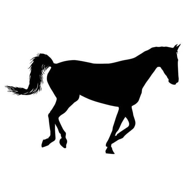 黒いムスタング馬イラストの動物のシルエット — ストックベクタ