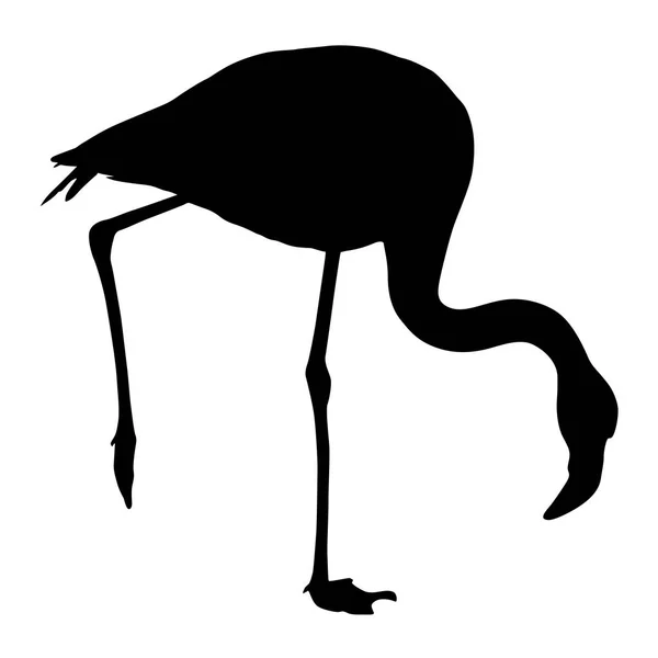 Silhouette oiseau flamant rose sur fond blanc — Image vectorielle