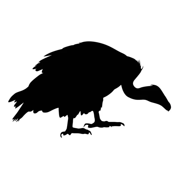 Silhouette schöner Adler auf weißem Hintergrund — Stockvektor