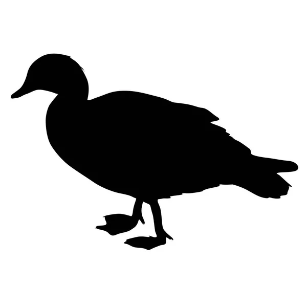 Oie Silhouette oiseau sur fond blanc — Image vectorielle