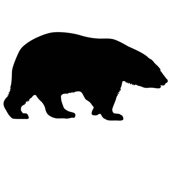 Silhouette orso polare su sfondo bianco — Vettoriale Stock