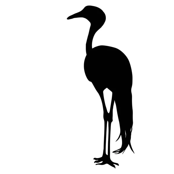 Grue Silhouette oiseau sur fond blanc — Image vectorielle