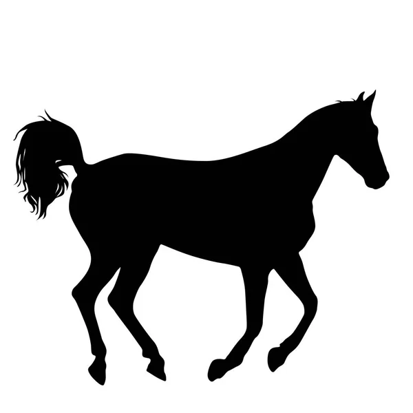 Silueta animal de caballo mustang negro ilustración — Vector de stock