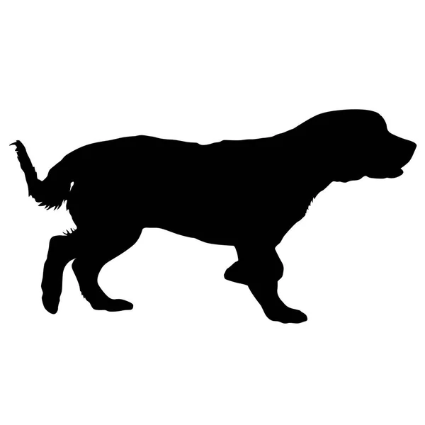 Силуэт собаки-спаниеля на белом фоне — стоковый вектор
