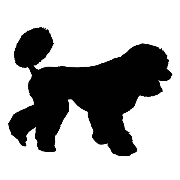 Silhueta cão Poodle em um fundo branco — Vetor de Stock