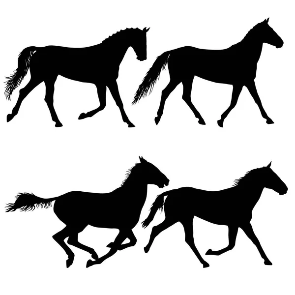 设置黑色野马马插图动物剪影 — 图库矢量图片