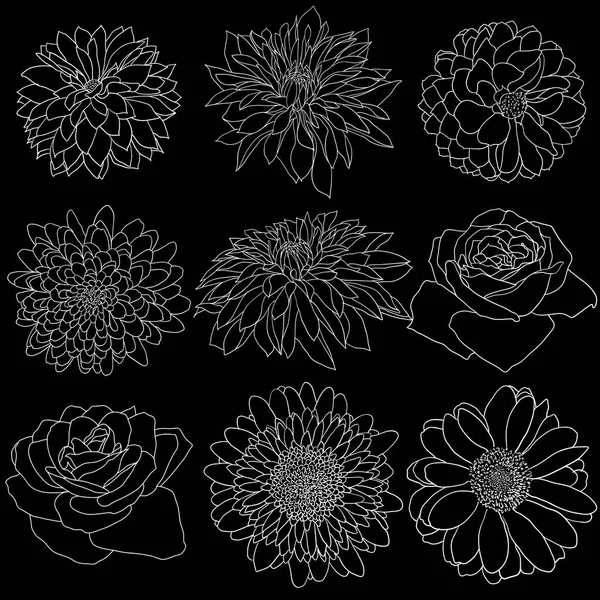 分離された美しいモノクロのスケッチは、黒と白の花 — ストックベクタ