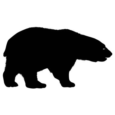 Beyaz arka planda siluet kutup ayısı