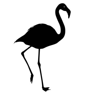 Siluet kuş flamingo beyaz bir arka plan üzerinde