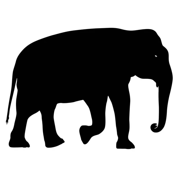 Silhouette grande elefante africano su sfondo bianco — Vettoriale Stock