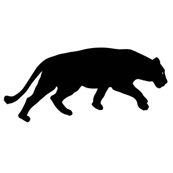 Silhouette de la lionne sur fond blanc — Image vectorielle