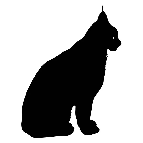 Silhouette du Lynx sur fond blanc — Image vectorielle