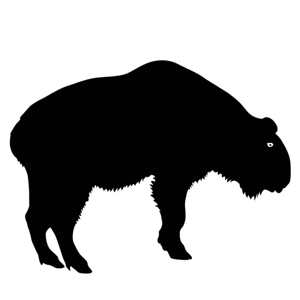 Silhouette of the bison on a white background — Stock Vector