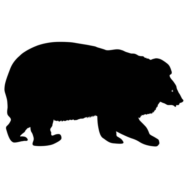 Siluet coklat beruang pada latar belakang putih - Stok Vektor