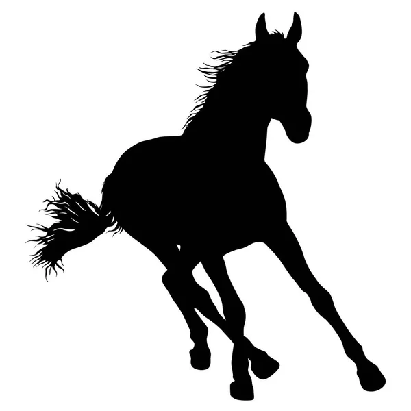 Silueta animal de caballo mustang negro ilustración — Vector de stock